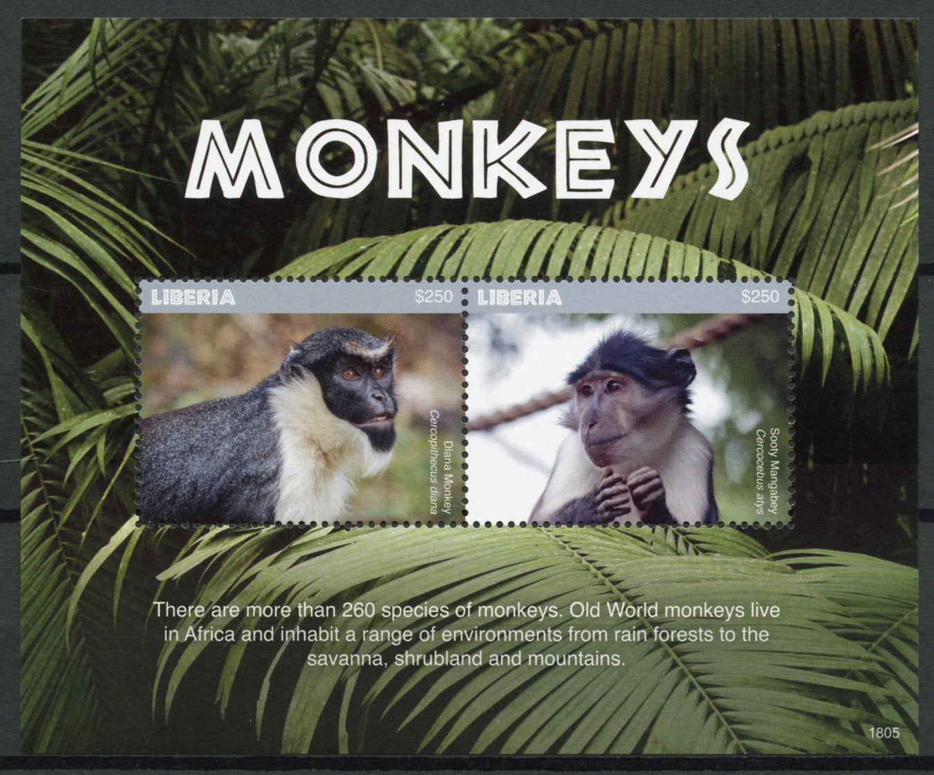 Liberia 2018 MNH Monkeys Diana Monkey Sooty Mangabey 2v S/S Wild Animals Stamps