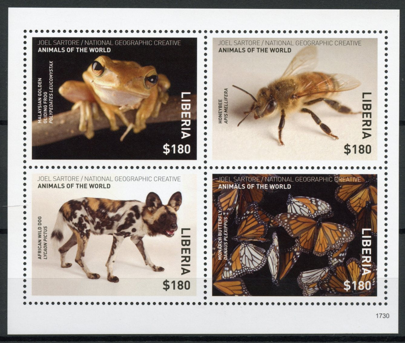Liberia 2017 MNH Wild Animals of World 4v M/S Frogs Bees Butterflies Dogs Stamps