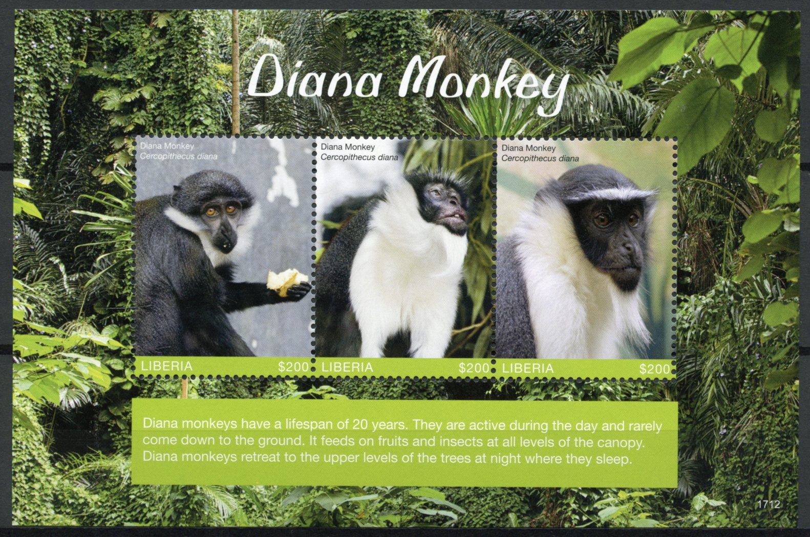 Liberia 2017 MNH Diana Monkey 3v M/S Monkeys Wild Animals Stamps