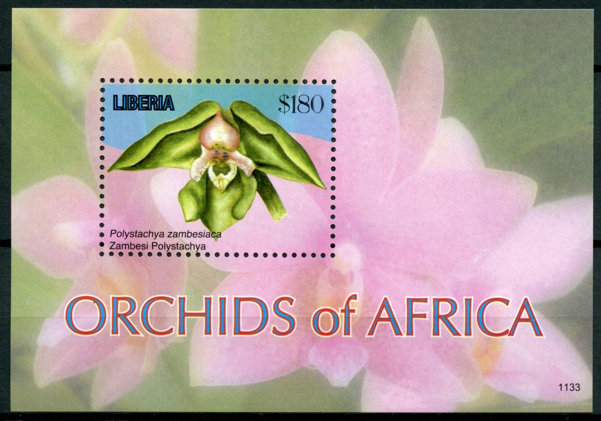 Liberia 2011 MNH Orchids of Africa 1v S/S I Flowers Flora Zambesi Polystachya