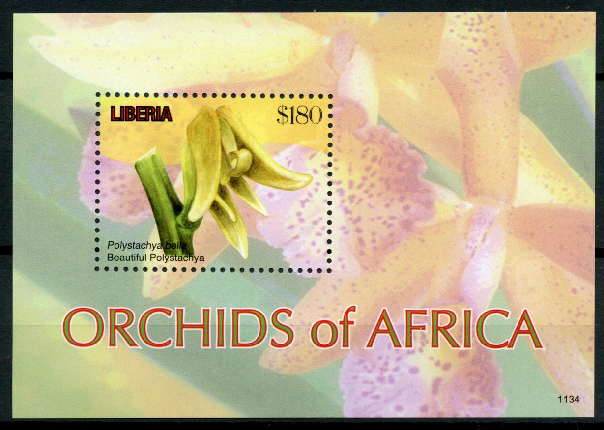 Liberia 2011 MNH Orchids of Africa 1v S/S II Flowers Flora Beautiful Polystachya