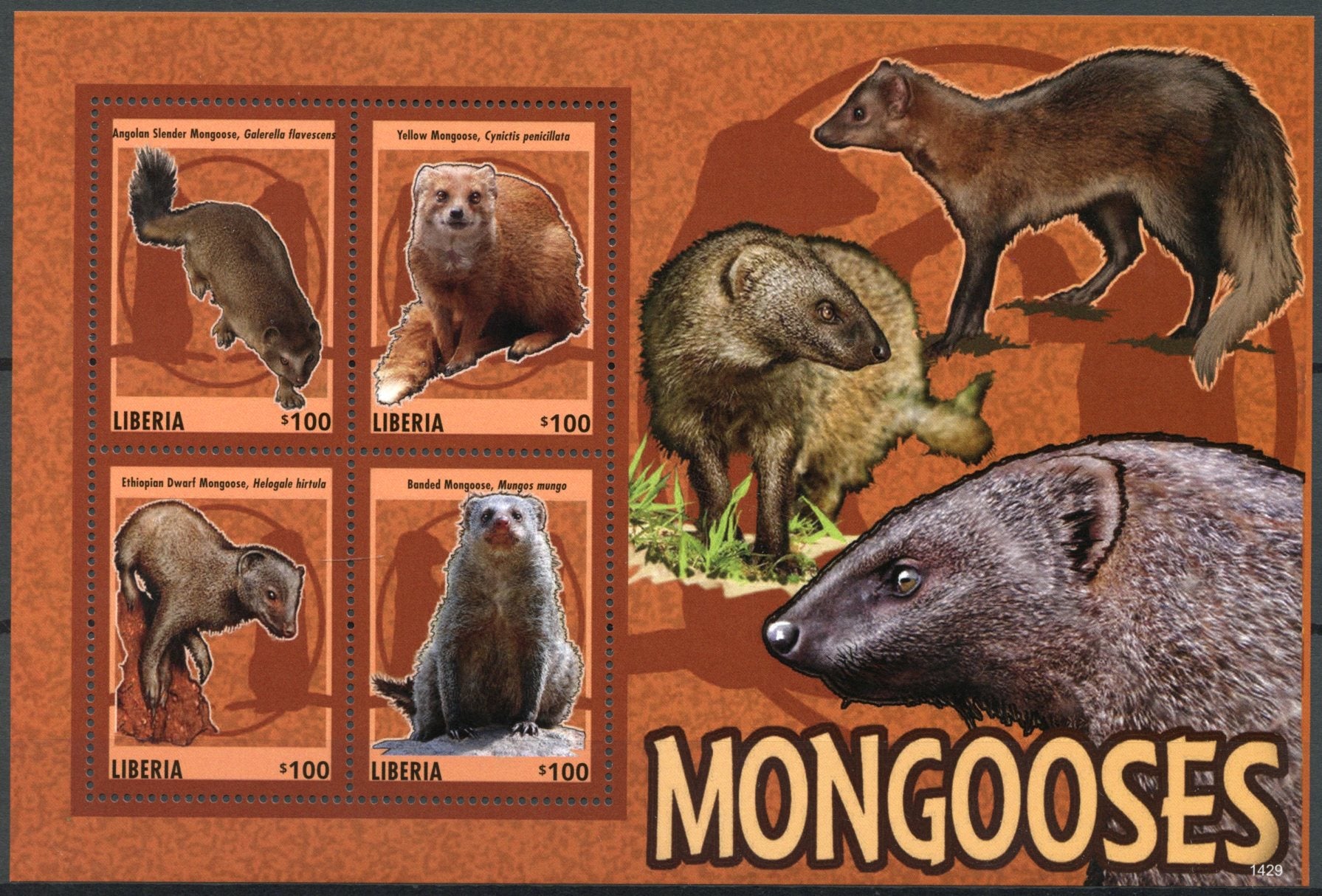 Liberia 2014 MNH Mongooses 4v M/S II Wild Animals Slender Yellow Banded Mongoose