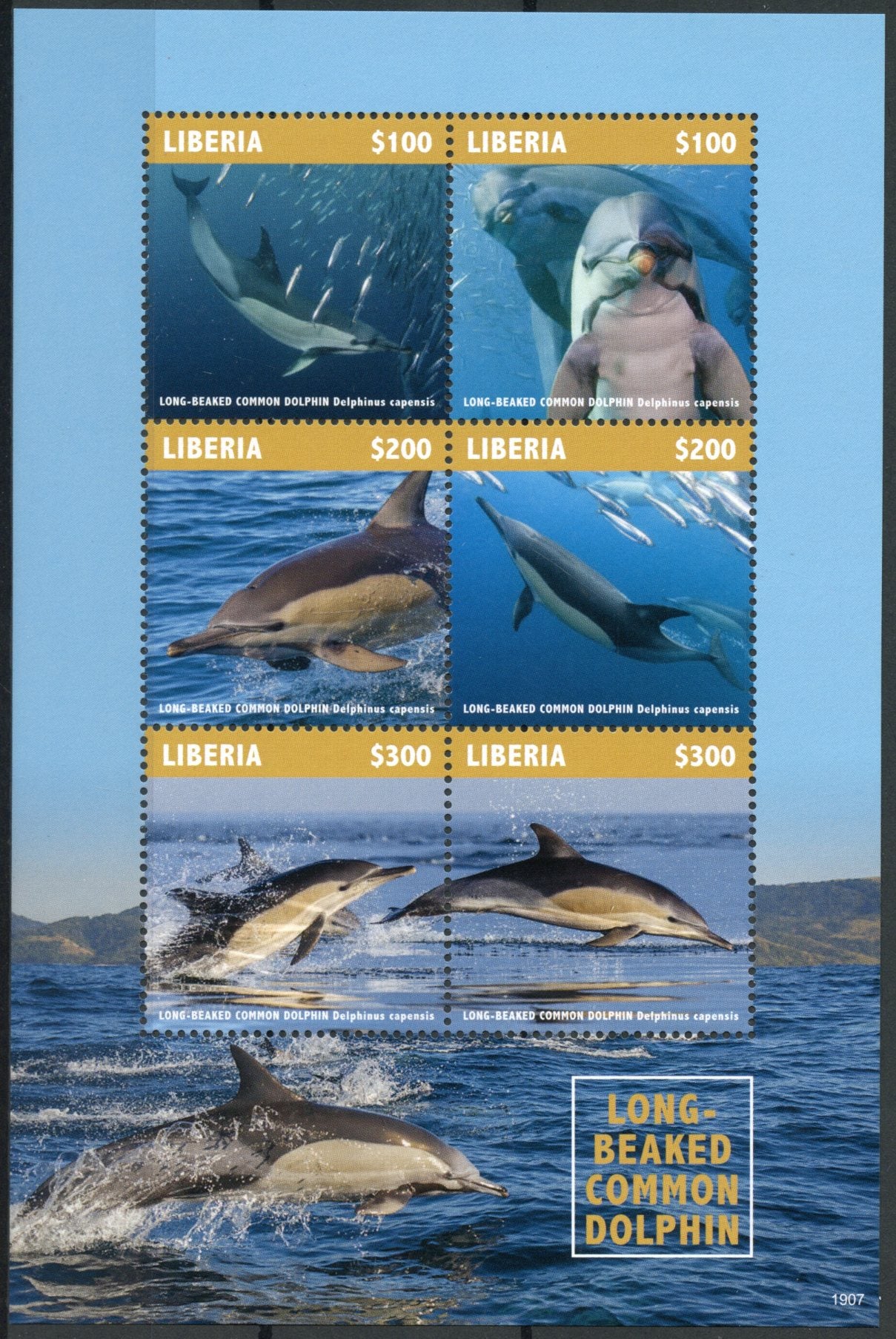 Liberia 2019 MNH Long-Beaked Dolphin 6v M/S Dolphins Marine Animals Stamps