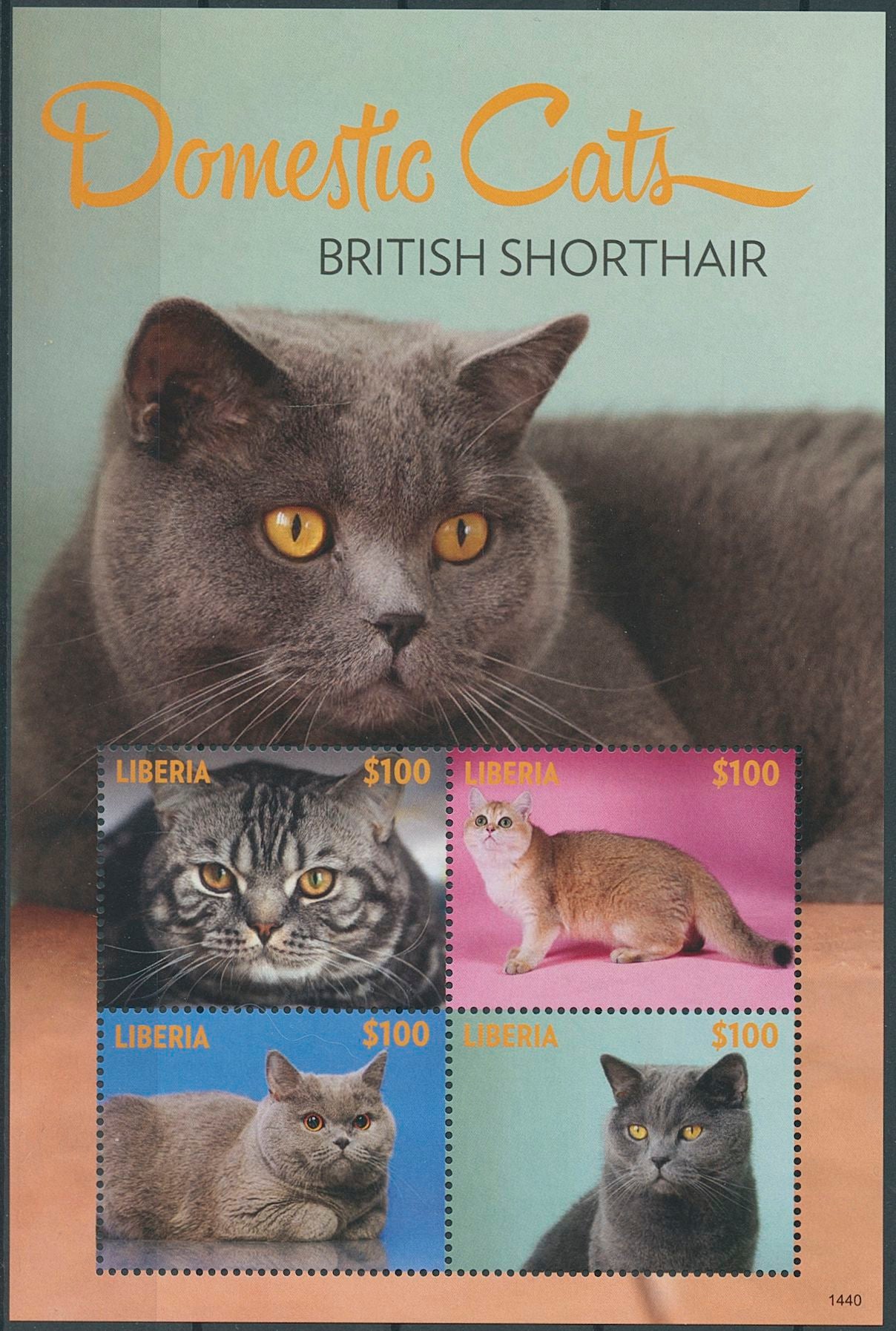 Liberia 2014 MNH Domestic Cats Stamps British Shorthair Pets 4v M/S I