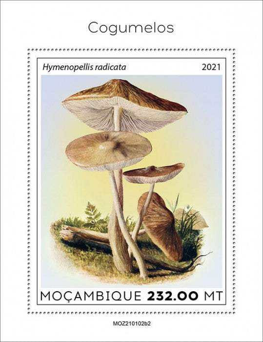 Mozambique 2021 MNH Mushrooms Stamps Fungi Deep Root Mushroom Nature 1v S/S II
