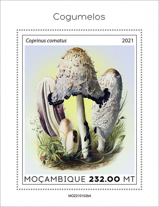 Mozambique 2021 MNH Mushrooms Stamps Shaggy Mane Mushroom Nature 1v S/S IV