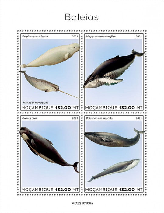 Mozambique 2021 MNH Marine Animals Stamps Whales Narwhal Humpback Whale 4v M/S