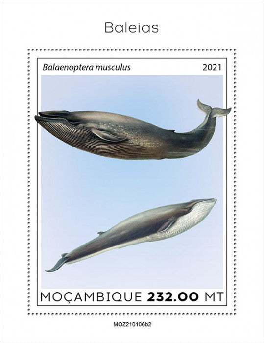 Mozambique 2021 MNH Marine Animals Stamps Whales Blue Whale 1v S/S II