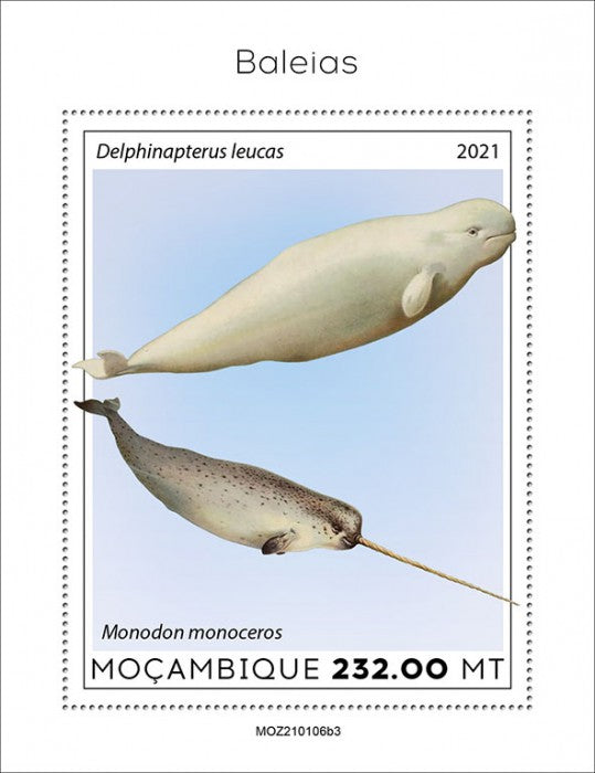 Mozambique 2021 MNH Marine Animals Stamps Whales Beluga Whale Narwhal 1v S/S III