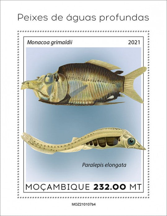Mozambique 2021 MNH Fish Stamps Deep Sea Fishes Marine 1v S/S IV