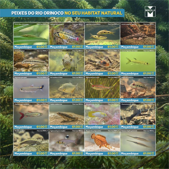 Mozambique 2021 MNH Fish Stamps Fishes of Orinoco River in Wild 20v M/S