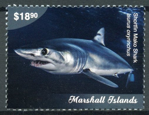 Marshall Islands 2018 MNH Marine Life Definitives Pt II 1v Set Sharks Stamps