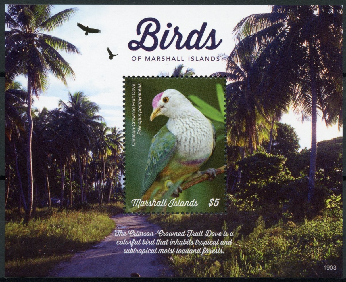 Marshall Islands 2019 MNH Birds Crimson-Crowned Fruit Dove 1v S/S Doves Stamps
