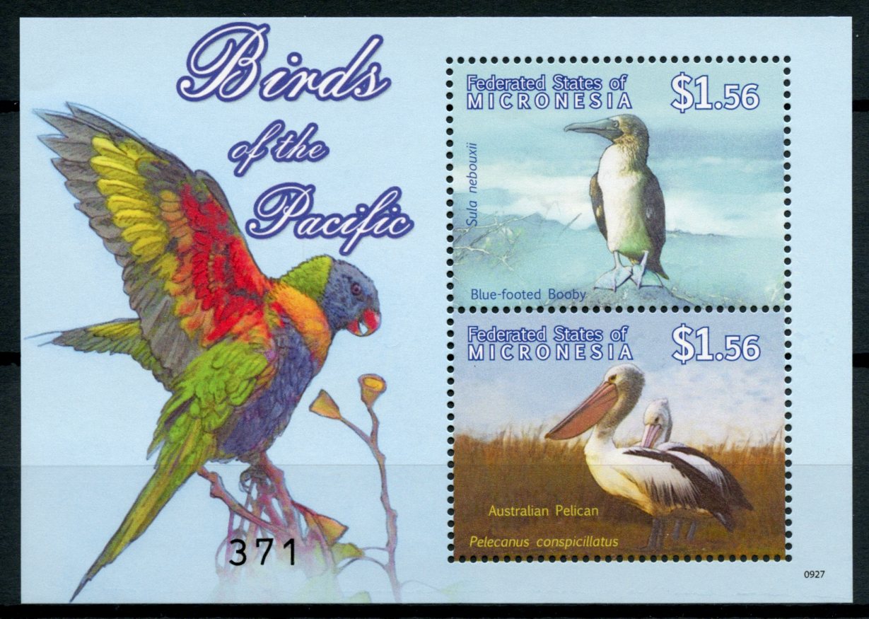 Micronesia 2009 MNH Birds of Pacific on Stamps Pelicans Booby Parrots 2v S/S