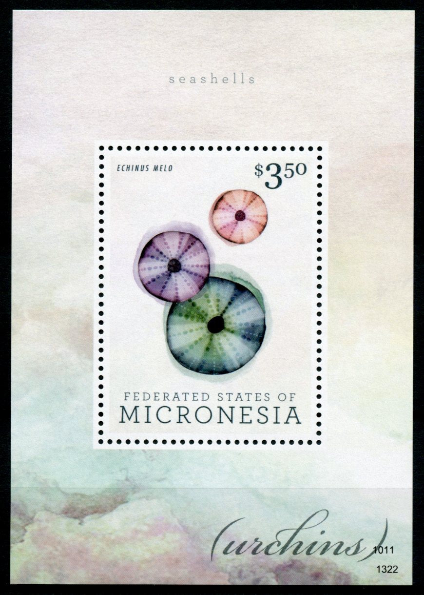 Micronesia 2013 MNH Seashells 1v S/S Urchins Echinus Melo Marine Shells