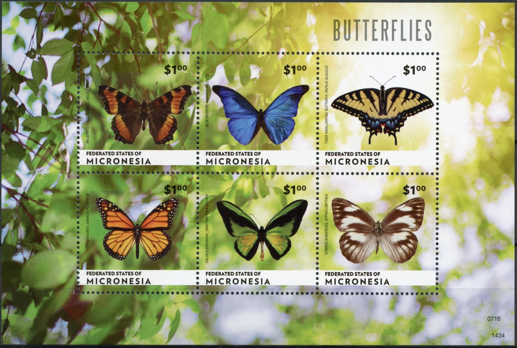 Micronesia 2014 MNH Butterflies 6v MS Butterfly Insects Monarch Goliath Birdwing