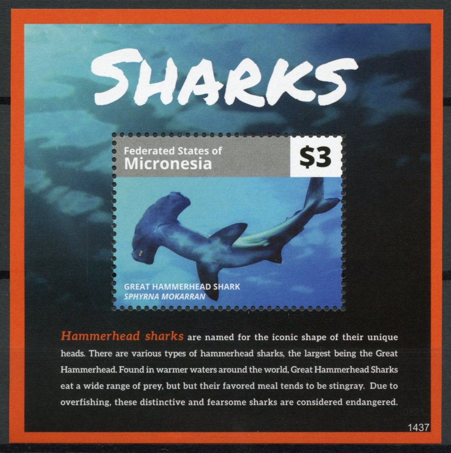 Micronesia 2014 MNH Sharks 1v S/S Marine Great Hammerhead Shark