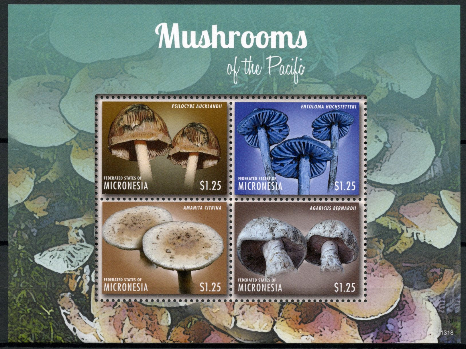 Micronesia 2013 MNH Mushrooms of Pacific I 4v M/S Fungi Nature Stamps