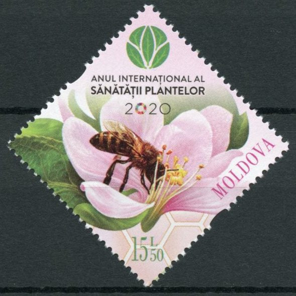 Moldova 2020 MNH Nature Stamps Intl Yr of Plant Health Flowers Bees 1v Set