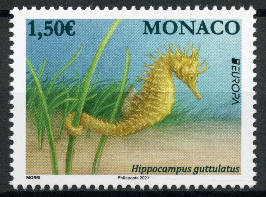 Monaco Europa Stamps 2021 MNH Endangered National Wildlife Seahorses Marine Animals 1v Set