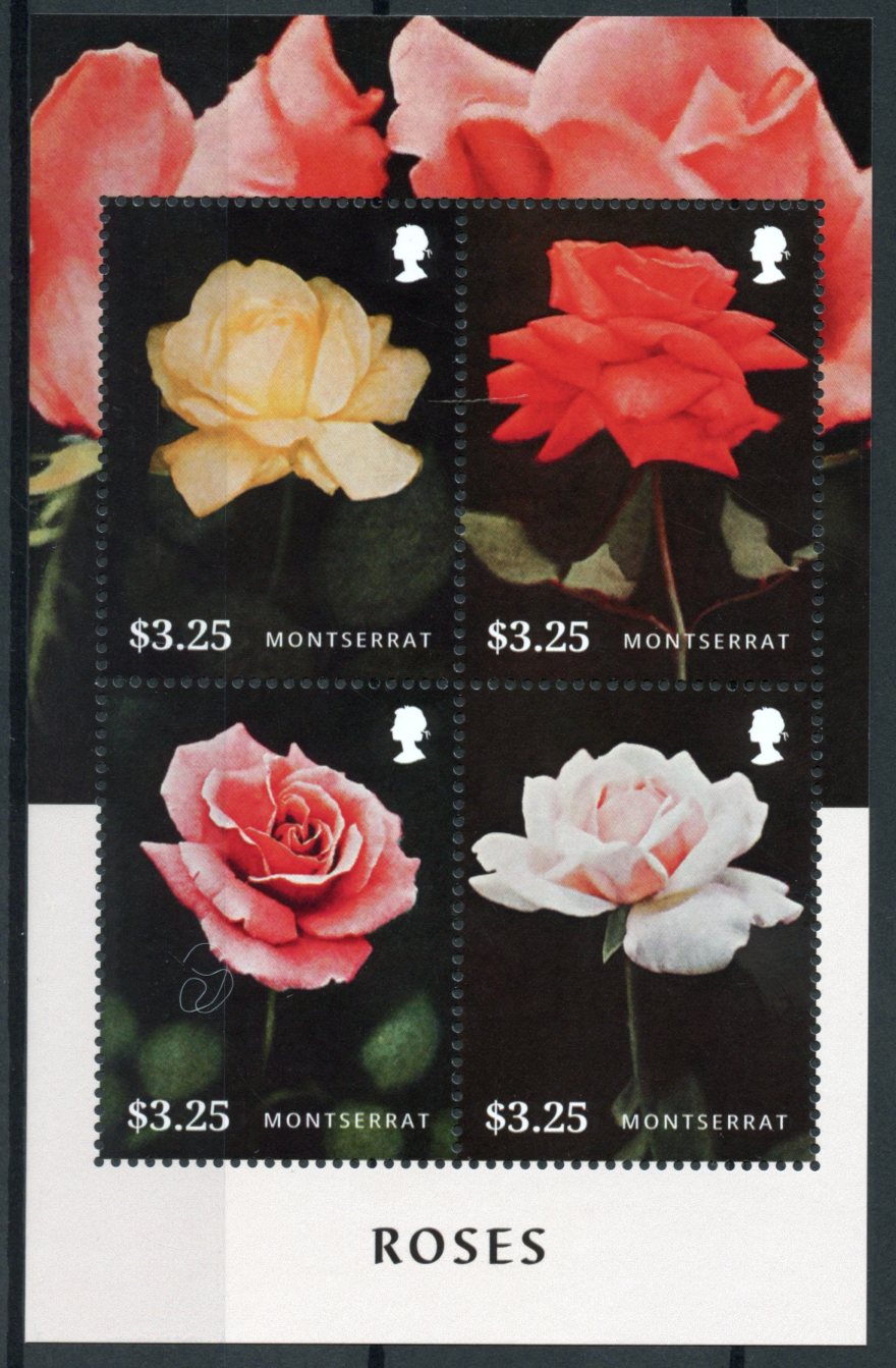 Montserrat 2015 MNH Roses 4v M/S Flowers Flora