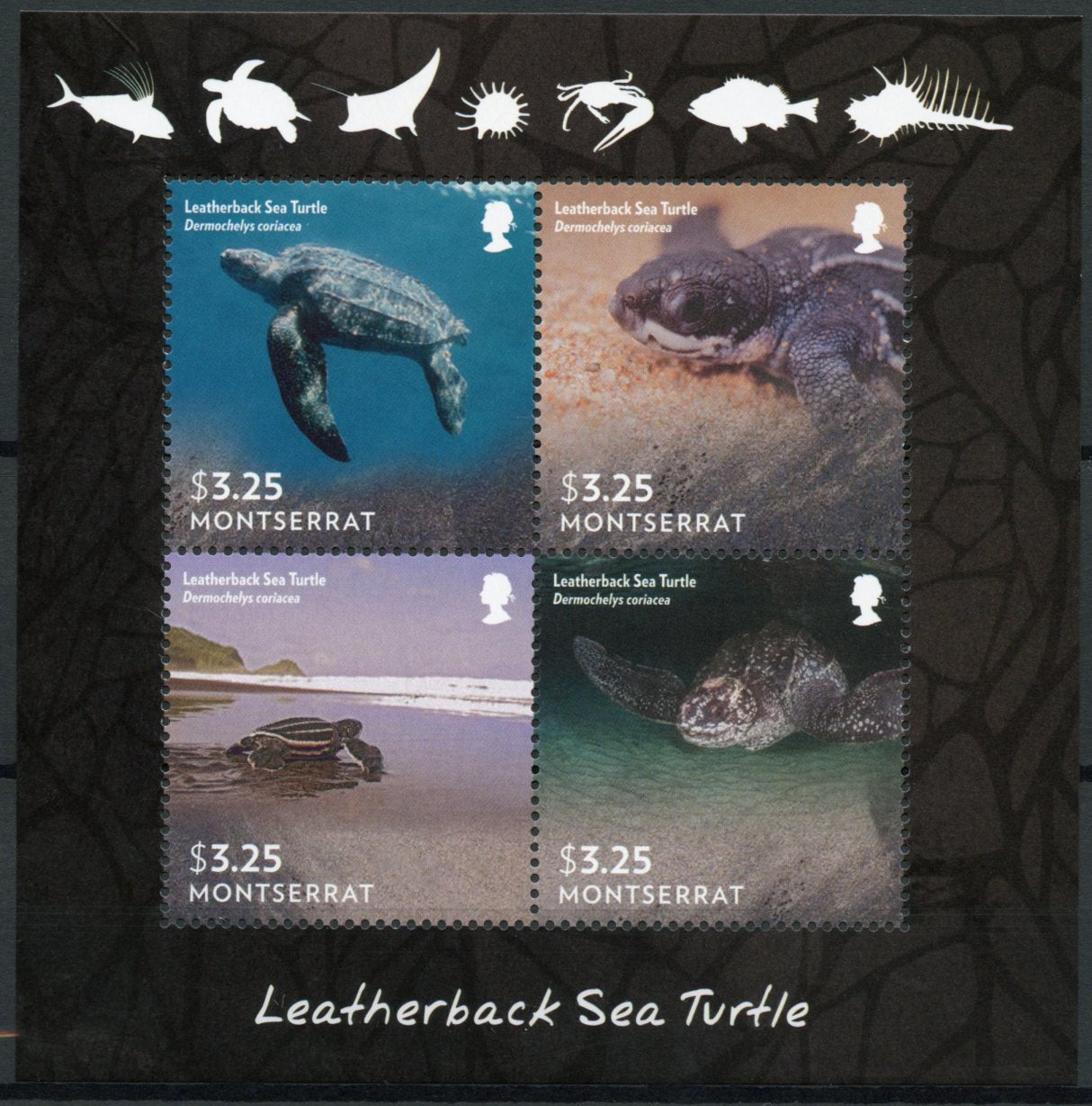 Montserrat Turtles Stamps 2015 MNH Leatherback Sea Turtle Reptiles Marine 4v M/S