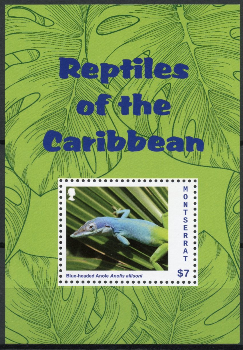 Montserrat 2013 MNH Lizards Stamps Reptiles of Caribbean Blue-headed Anole 1v S/S
