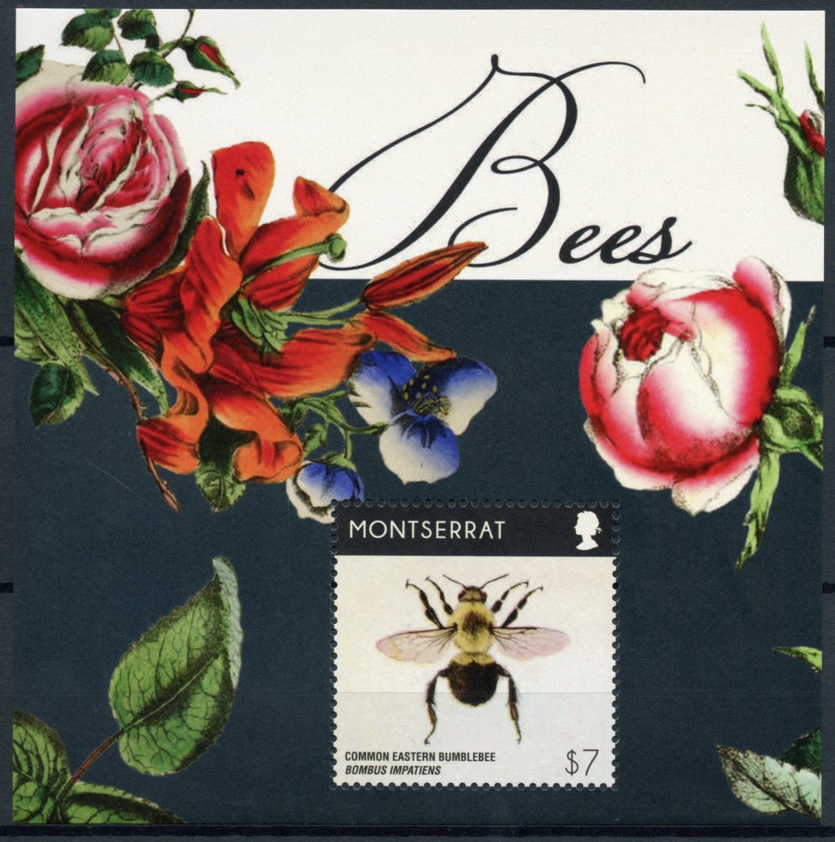 Montserrat 2015 MNH Bees 1v S/S Insects Common Eastern Bumblebee