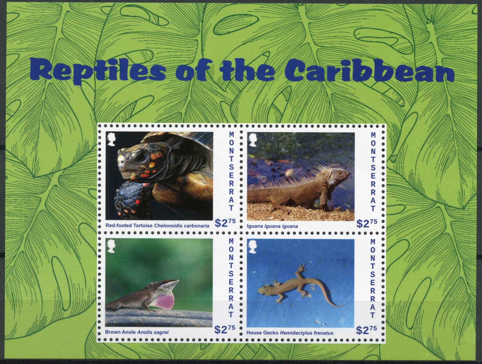 Montserrat 2013 MNH Reptiles of Caribbean 4v M/S Tortoise Lizards Iguana Stamps