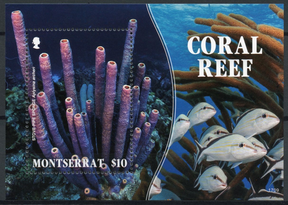 Montserrat 2017 MNH Coral Reef Sponge 1v S/S Fish Fishes Corals Marine Stamps