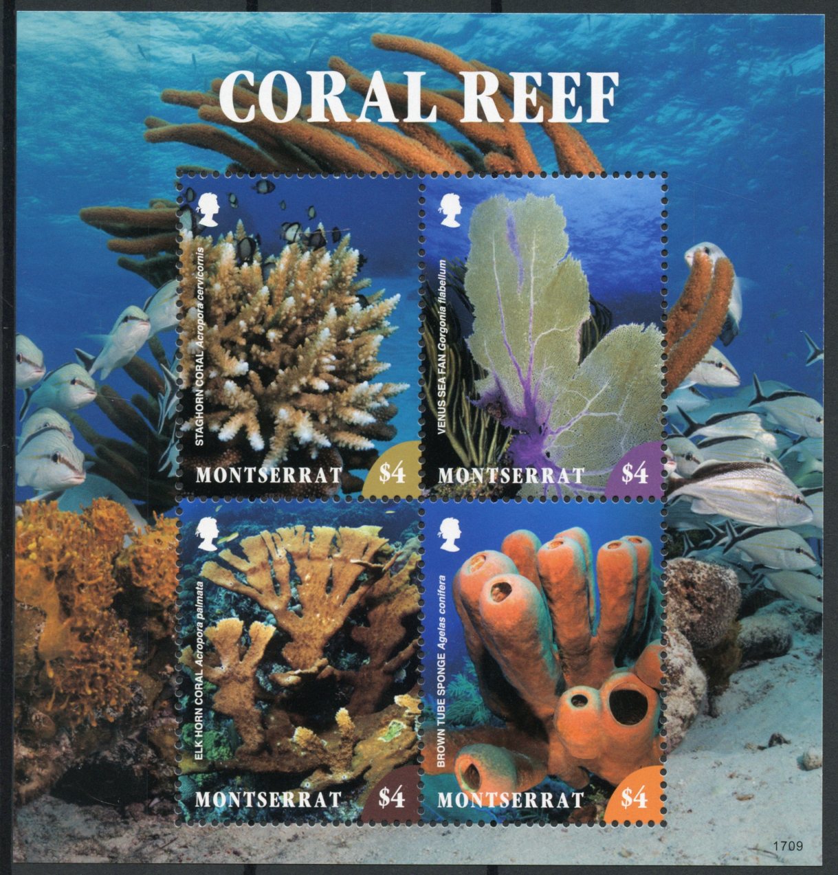 Montserrat 2017 MNH Coral Reef Sponge 4v M/S Fish Fishes Corals Marine Stamps