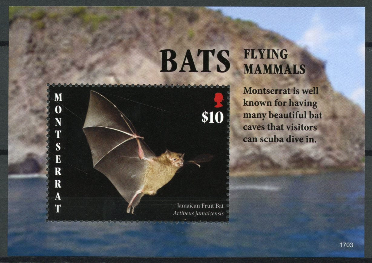 Montserrat 2017 MNH Bats Flying Mammals 1v S/S Bat Wild Animals Stamps