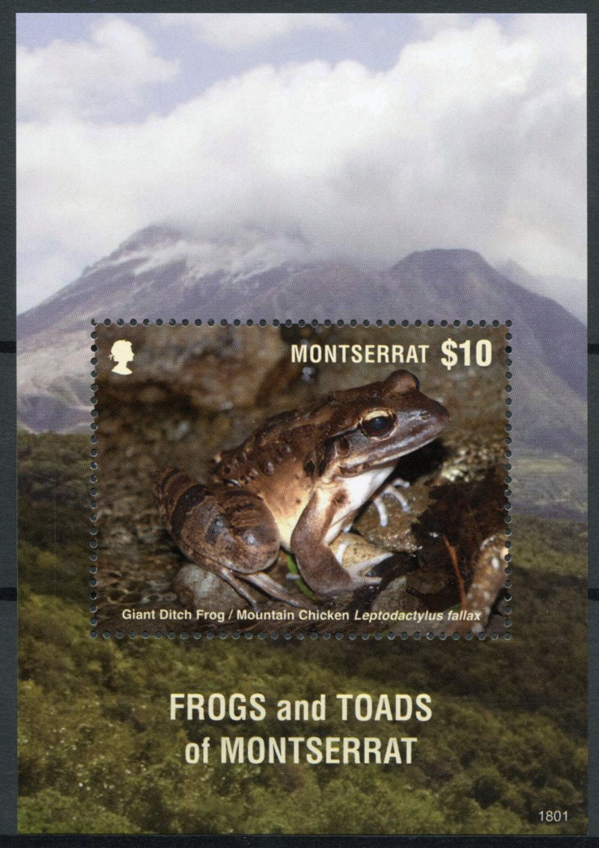 Montserrat 2018 MNH Frogs & Toads Mountain Chicken 1v S/S Amphibians Stamps
