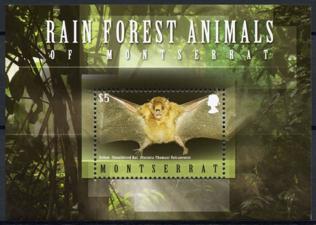 Montserrat 2009 MNH Rain Forest Animals 1v S/S Bats Wild Animals Stamps