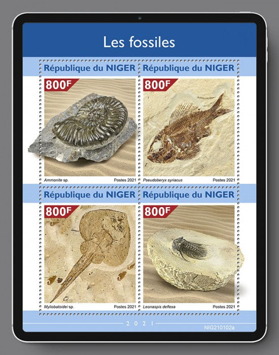 Niger 2021 MNH Fossils Stamps Ammonite Fish Prehistoric Animals 4v M/S