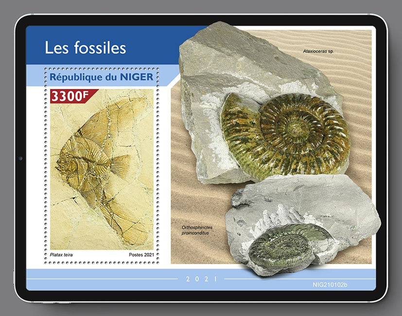 Niger 2021 MNH Fossils Stamps Ammonite Fish Prehistoric Animals 1v S/S