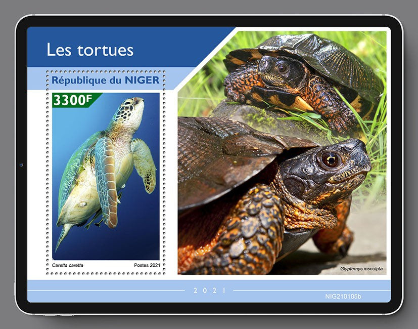 Niger 2021 MNH Turtles Stamps Loggerhead Sea Turtle Reptiles 1v S/S