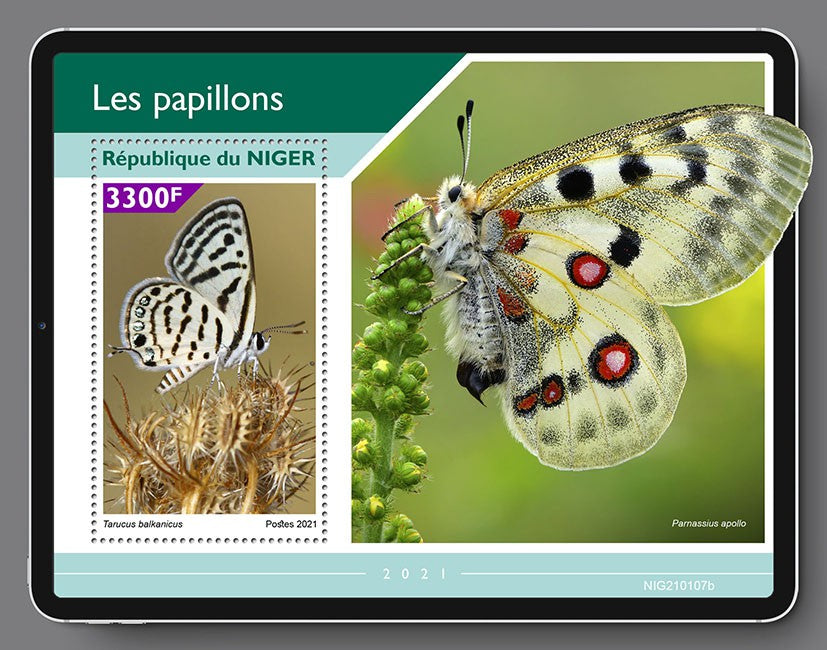 Niger 2021 MNH Butterflies Stamps Little Tiger Blue Butterfly 1v S/S