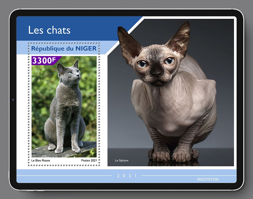 Niger 2021 MNH Cats Stamps Russian Blue Sphynx Cat Domestic Animals 1v S/S