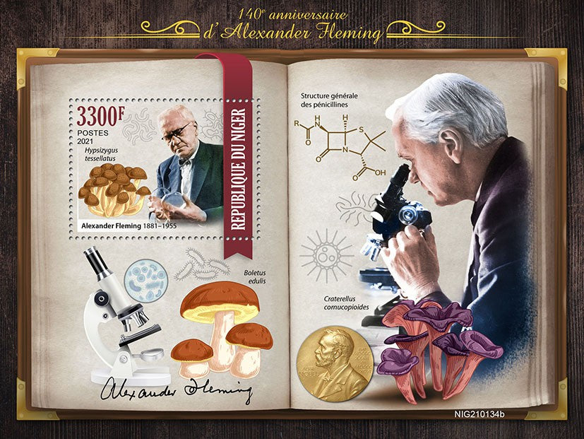 Niger 2021 MNH Science Stamps Alexander Fleming Mushrooms Fungi 1v S/S