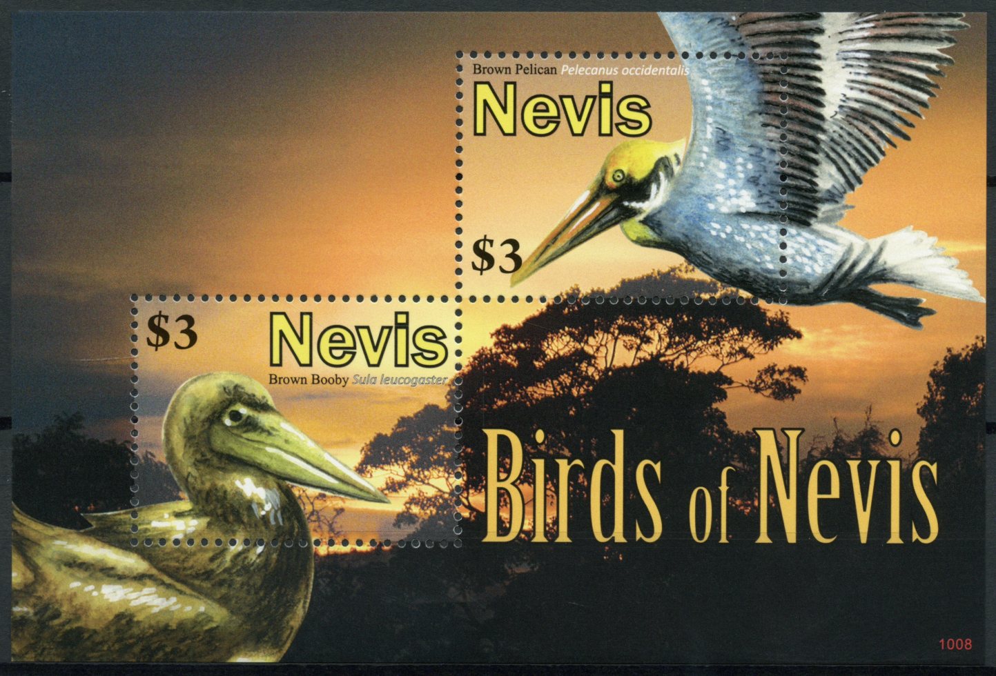 Nevis 2010 MNH Birds of Nevis 2v S/S Brown Pelican Brown Booby