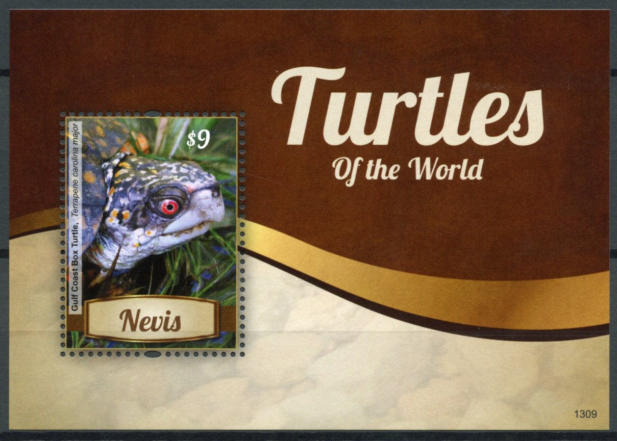 Nevis 2013 MNH Turtles of the World 1v S/S Reptiles Gulf Coast Box Turtle
