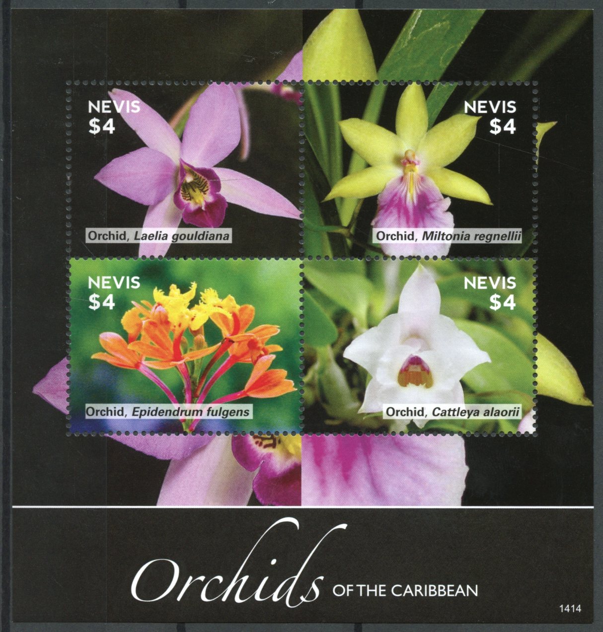 Nevis 2014 MNH Orchids of Caribbean 4v M/S II Flowers Flora Miltonia Cattleya