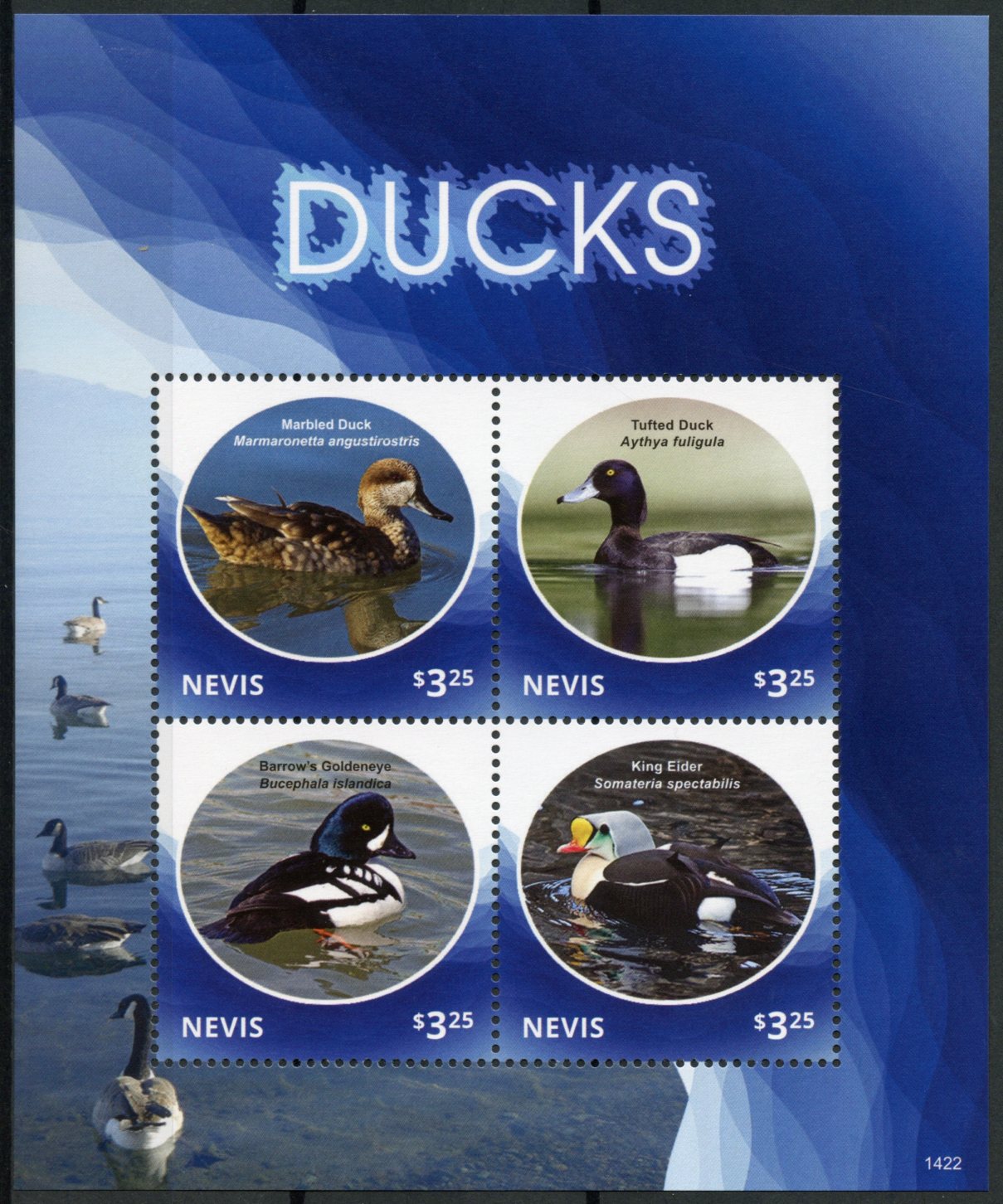 Nevis 2014 MNH Ducks 4v M/S Birds Marbled Duck Goldeneye Eider Tufted Duck