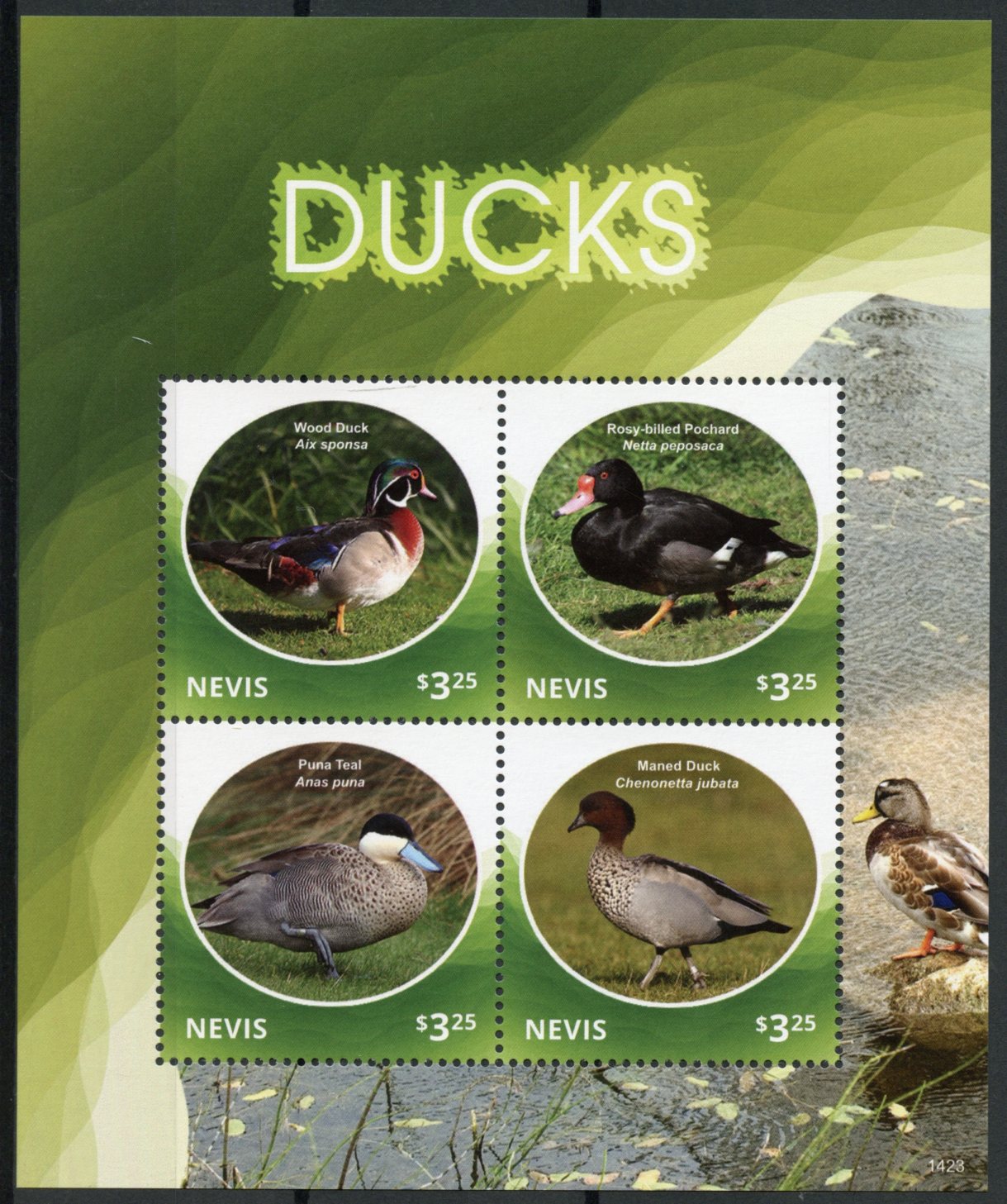 Nevis 2014 MNH Ducks 4v M/S II Birds Wood Duck Pochard Puna Teal Maned Duck