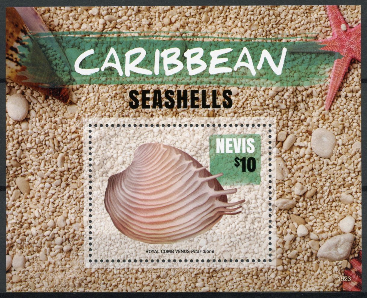 Nevis 2015 MNH Caribbean Seashells 1v S/S Royal Comb Venus Sea Shells Stamps