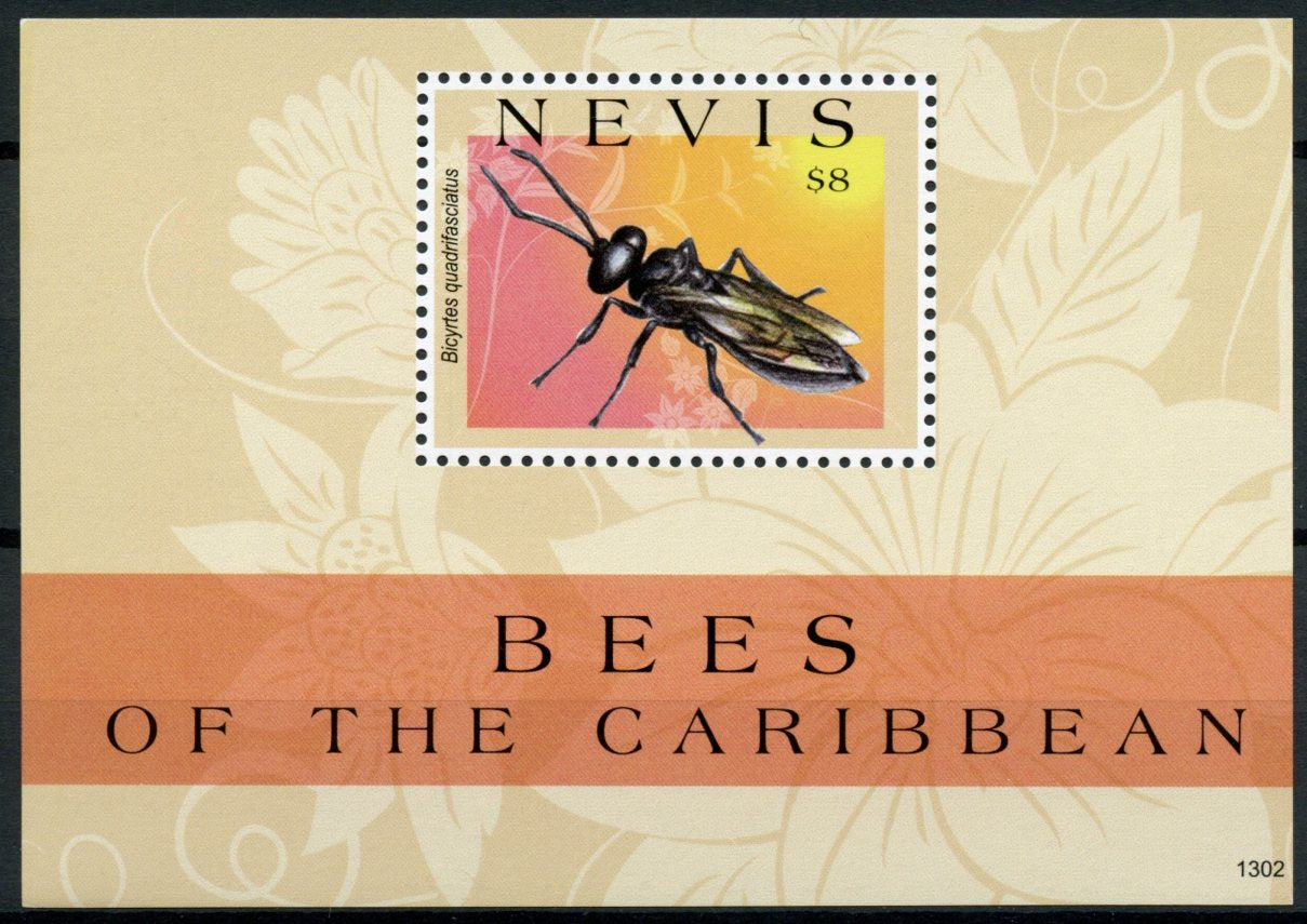 Nevis 2013 MNH Bees of Caribbean 1v S/S Insects Nature Bicyrtes Bee Stamps
