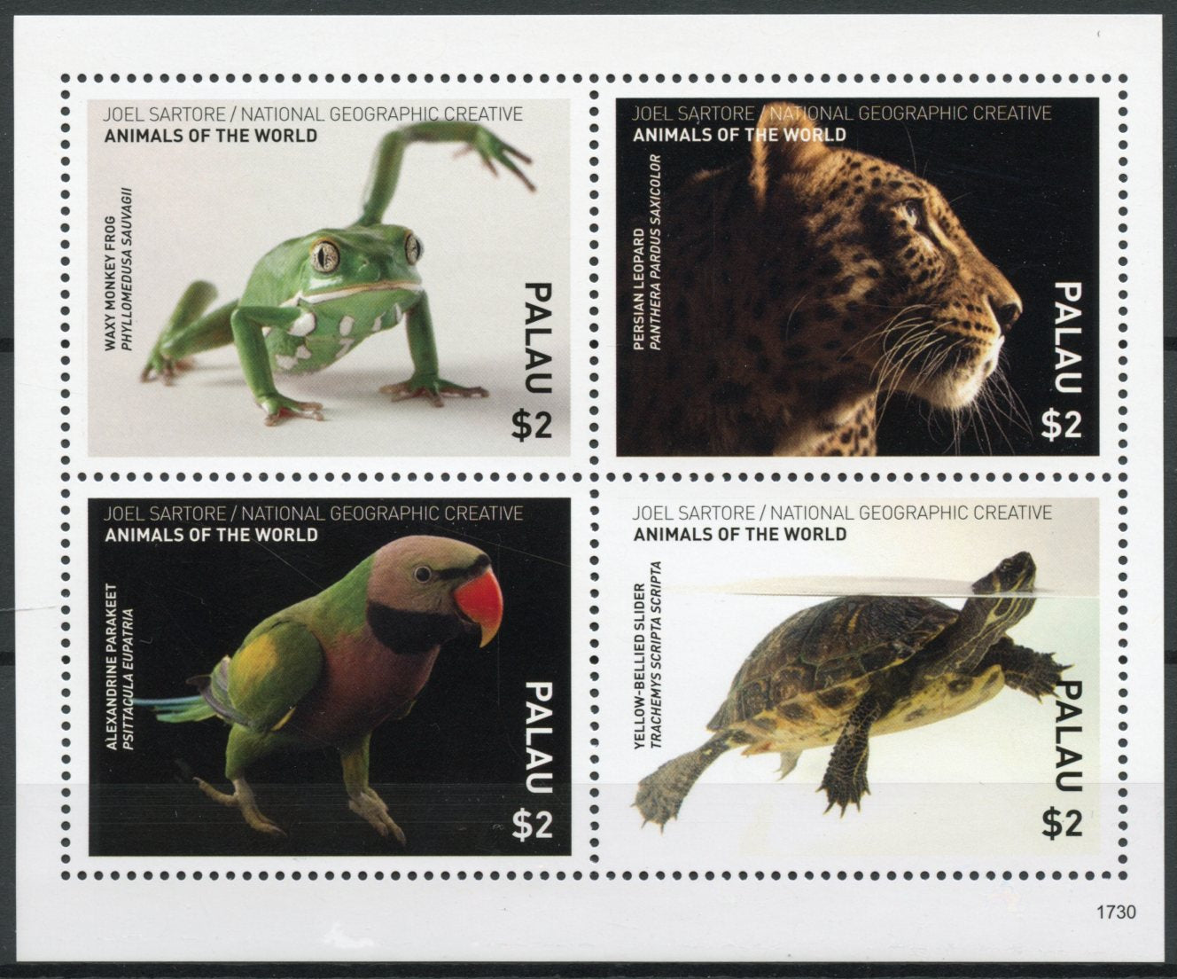 Palau 2017 MNH Wild Animals of World 4v M/S Frogs Turtles Birds Leopards Stamps