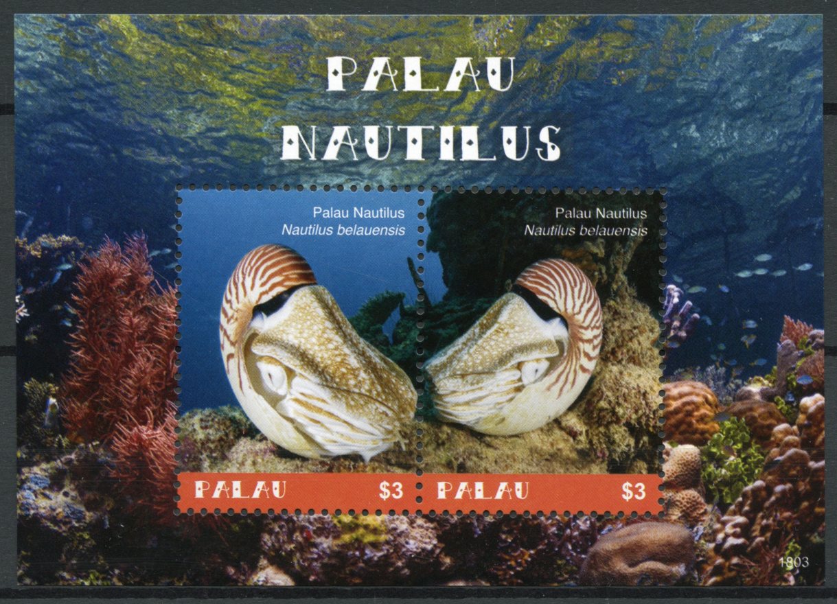 Palau 2018 MNH Palau Nautilus 2v S/S Corals Molluscs Marine Animals Stamps