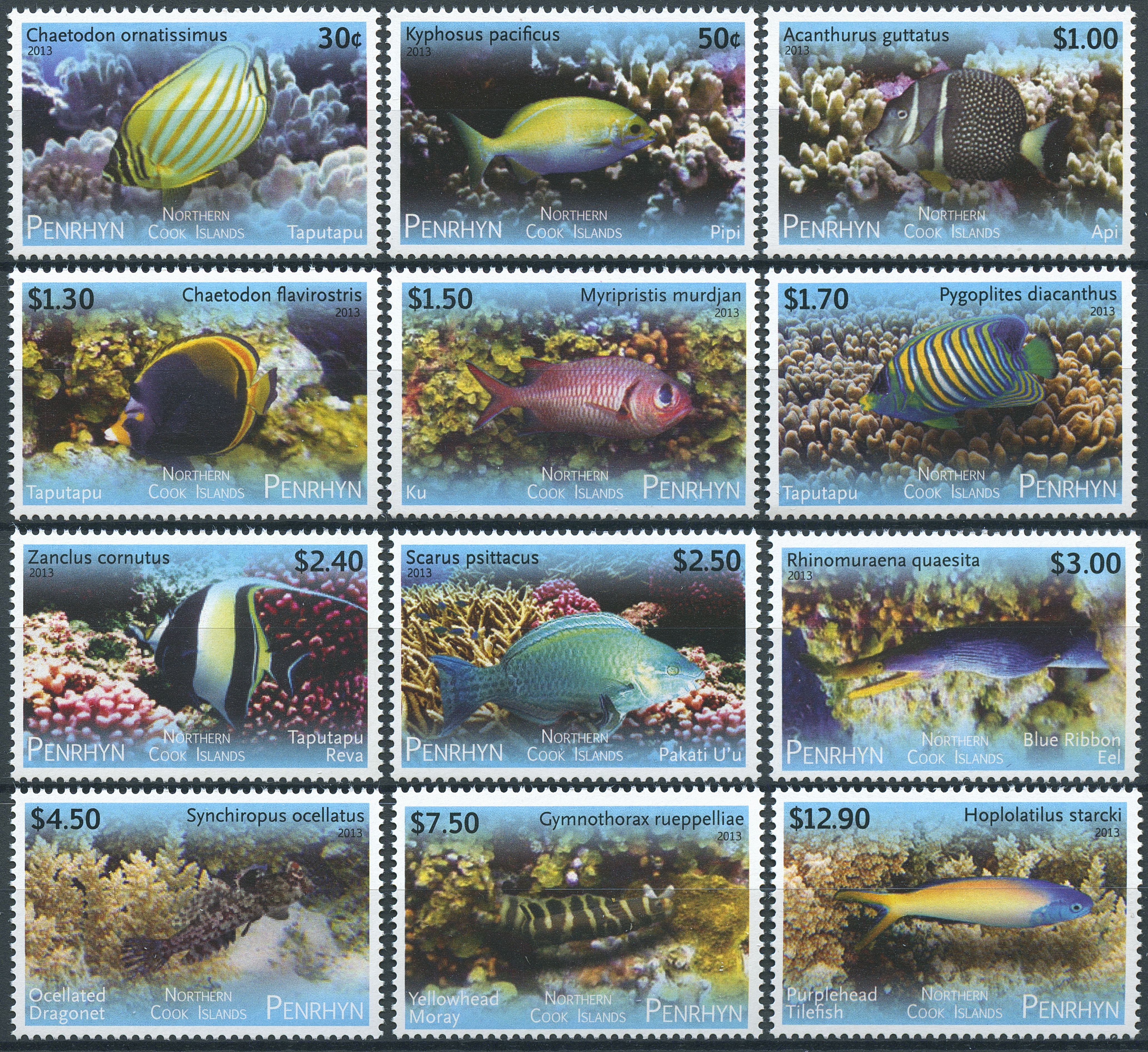 Penrhyn Northern Cook Islands 2013 MNH Tropical Fish of Pacific 12v Set Moray Ku